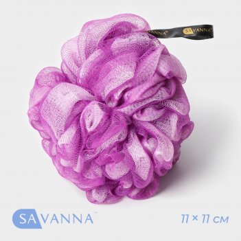   SAVANNA