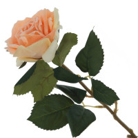   , l12 w12 h52 