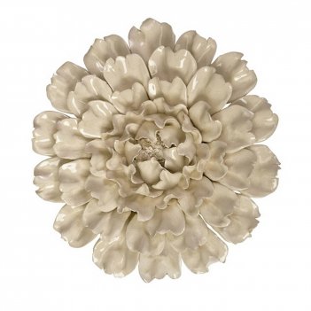    cream peony ( ),   