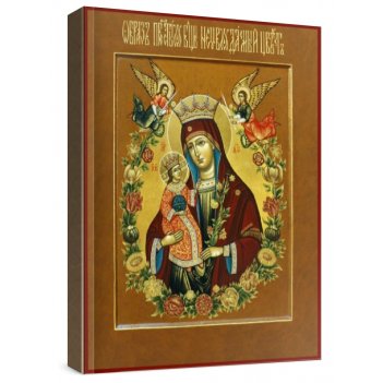 ����������� ���� (���������� �����)