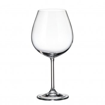     crystalite bohemia colibri/gastro 650  (6 )
