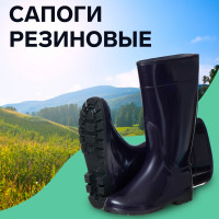   -11, , , ,  38