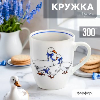   , 300 
