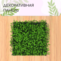  , 50 50 ,  , Greengo