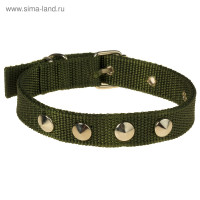  , 40.5  2 ,  26-34 , , -