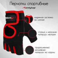   onlytop, . xl,  /