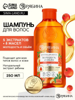   ,   ,  , 250 , 