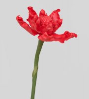 Tr 612 -