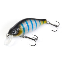  . lj original flat john, 9 ,  a13