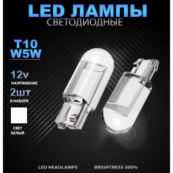   t10  (2   )