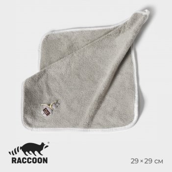    raccoon , , 29x29 