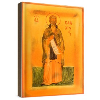 ������� ������������������� (����������) (���������� �����)