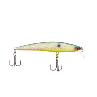  namazu bomb-shell, 8.8 , 8.2 , ,  (0.5-1 ),  16