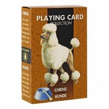  dogs playing cards