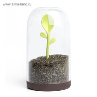     Sprout Jar, 700 