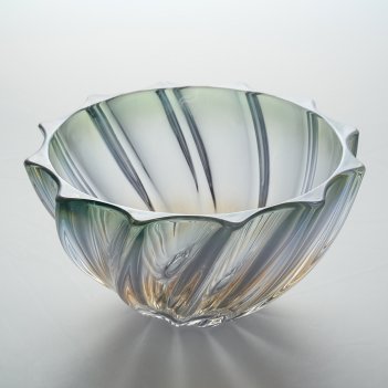  bohemia gold scallop 19 