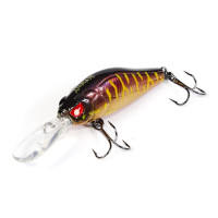  . lj pro series anira lbsp, 3.9 ,  113