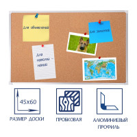   2, 4560 , Calligrata ,   