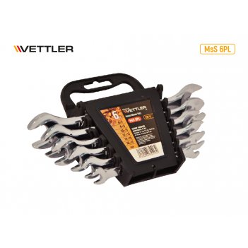    (6) 6-17 .  vettler
