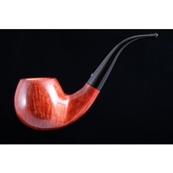  l’anatra ventura
