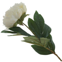   , l18 w14 h76 