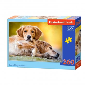   , 260 