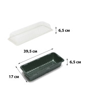 -  , 39 17.5 12 ,  , -, , greengo