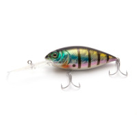  Namazu Willsy, L-75 , 22 , , , 4.0-6.0 ,  6