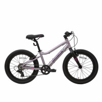  20 maxiscoo 5bike,   ,  l