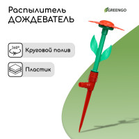 -, 29 , ,   , ,  , , greengo