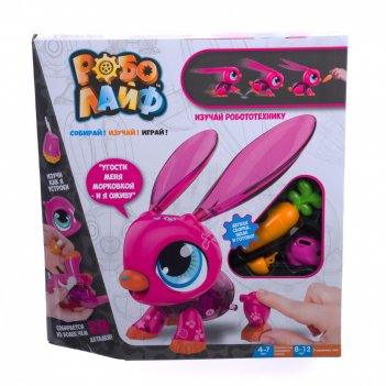 1toy     (  )  