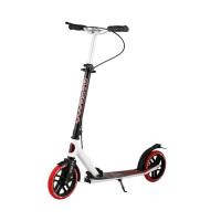  Maxiscoo LX-205A 2021,  /