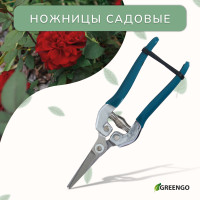  , 7 (18 ),   ,  ,  greengo