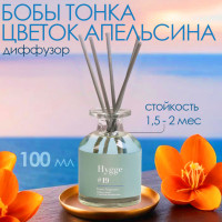   hygge #19      100 