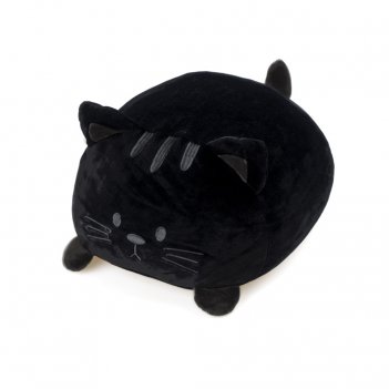   kitty 