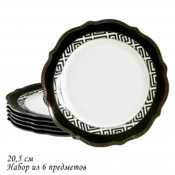    20.5  lenardi , ,  , 1 