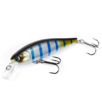  . lj original minnow x, 10 ,  a13