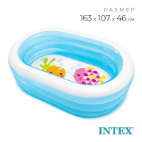     , 163  107  46 ,  3 , 57482np intex