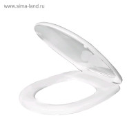    IDDIS 020PP00M31, , 