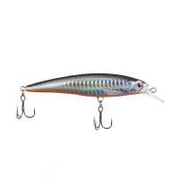  namazu zoolander, 9.5 , 13.3 , ,  (0.5-1 ),  5