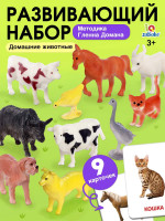   ,   , 9 , 3-6 