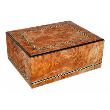  gentili elm-matt  50 