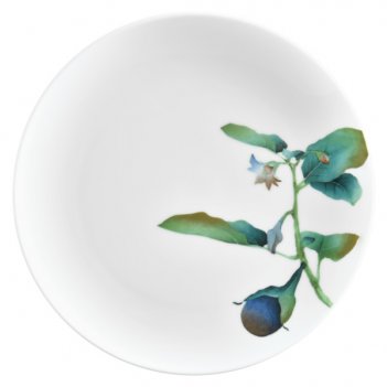   noritake    24