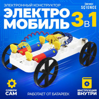   3  1 ,   