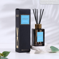     areon sticks premium, 85 , aquamarine
