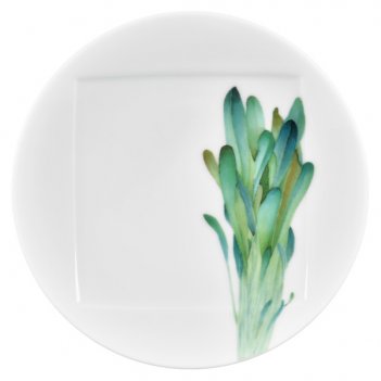   noritake    16