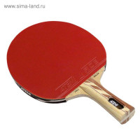     atemi pro 4000 an
