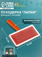 ��������� ������ ������� � �������, 12 13 ��, ���������