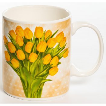 ����������, ������ 350��, new bone china