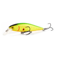  . lj original minnow x, 10 ,  m06